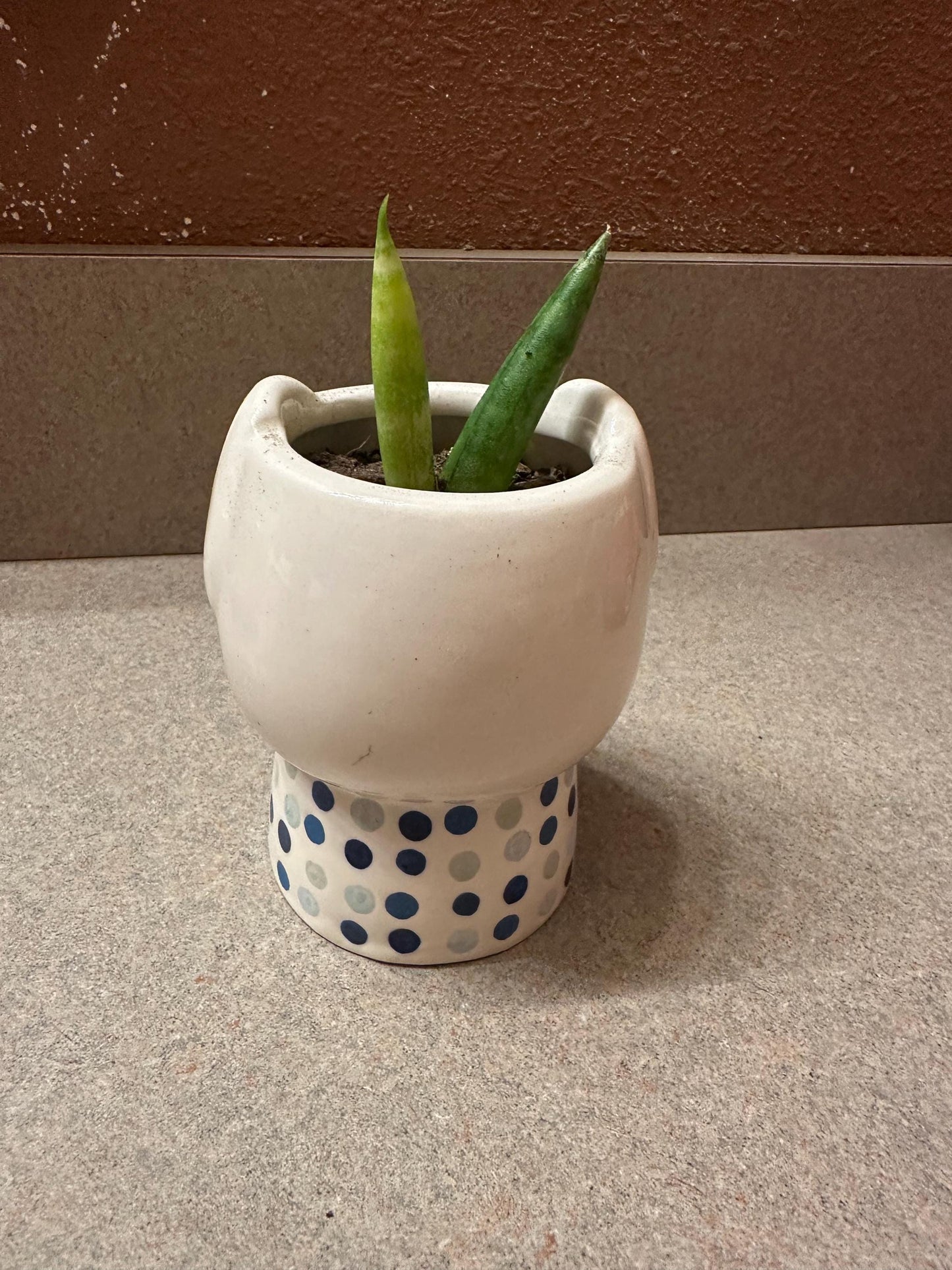 Darlin doggo planter with Bonzel plant