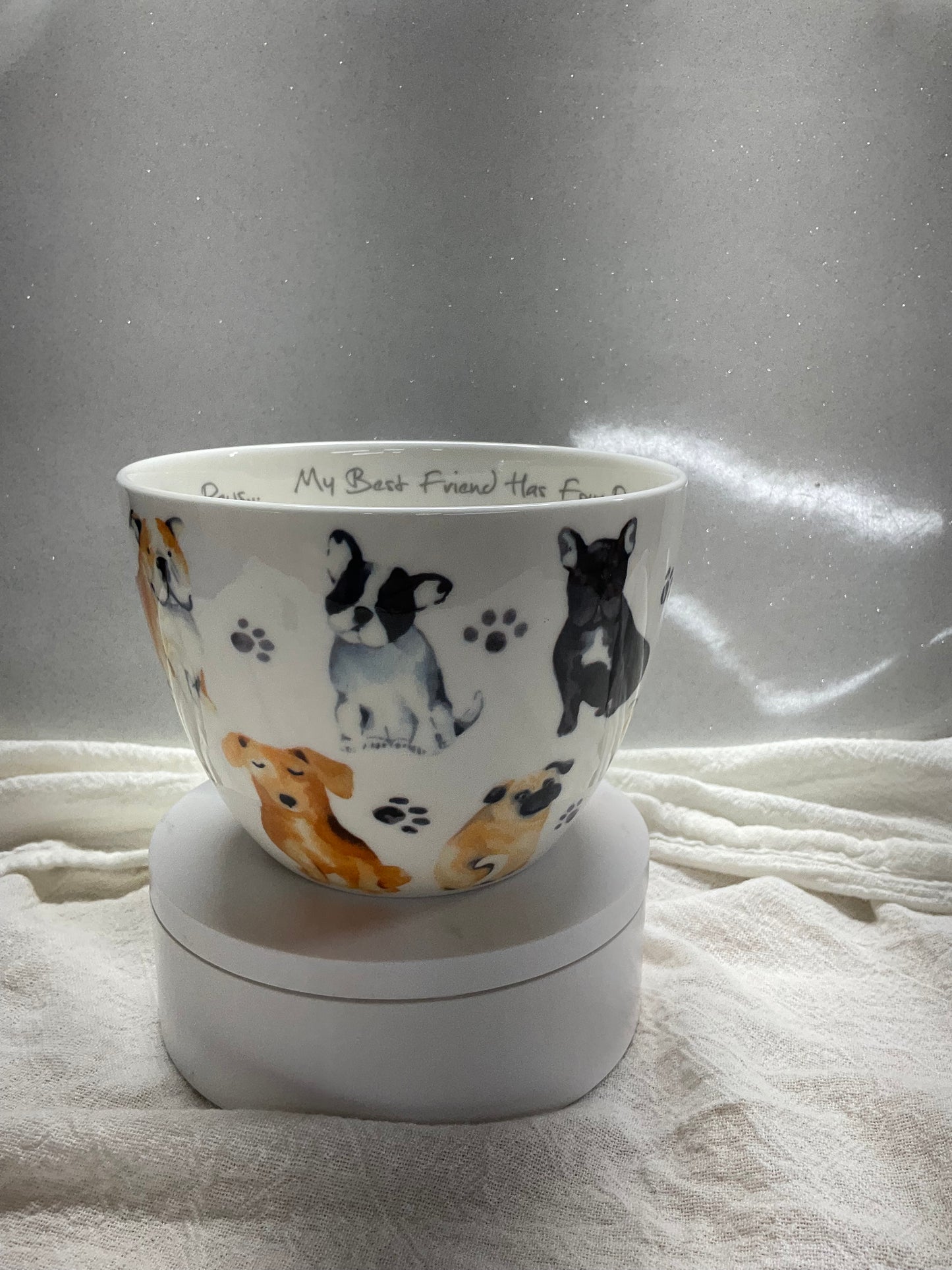 Dagwood doggie cup
