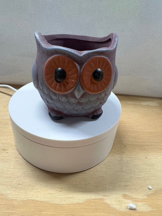 Cute owl planters