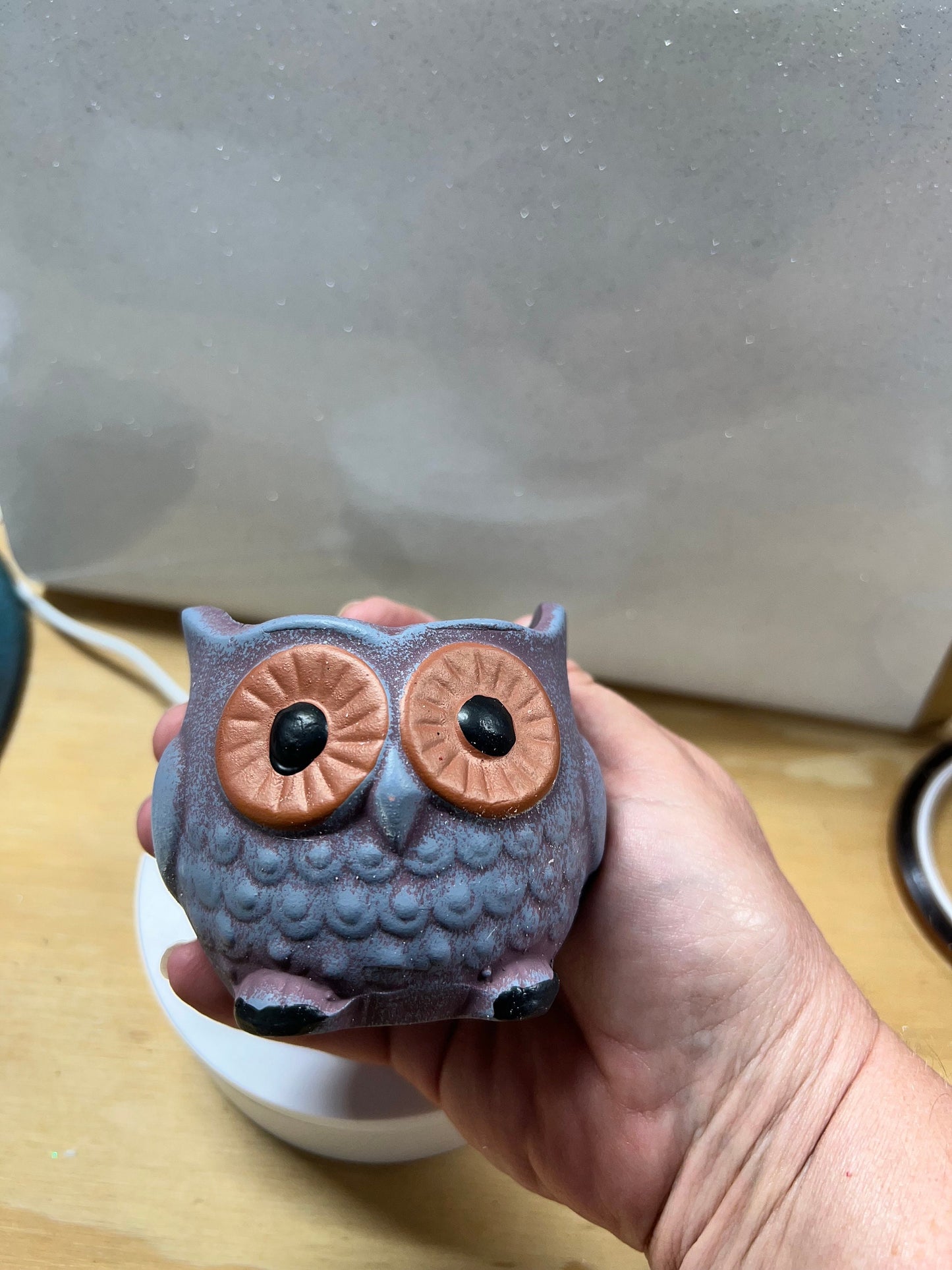 Cute owl planters