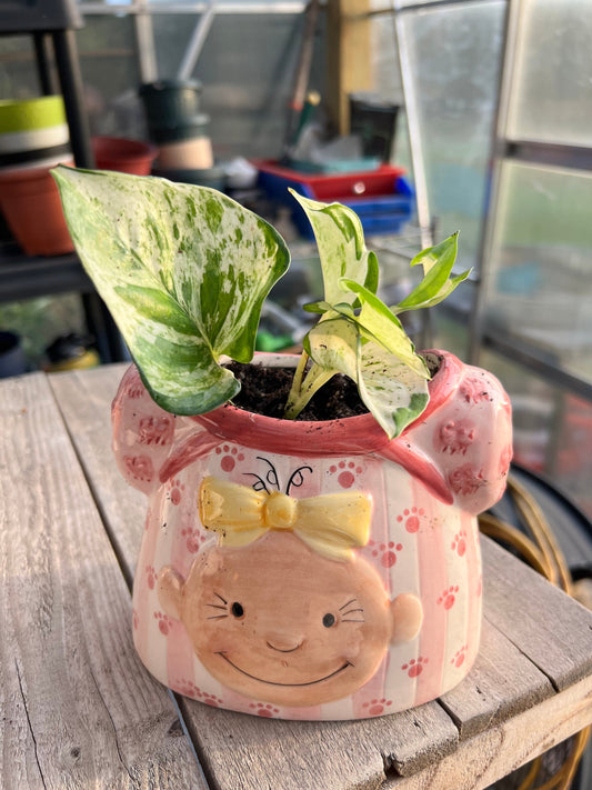 Gemma girl planter
