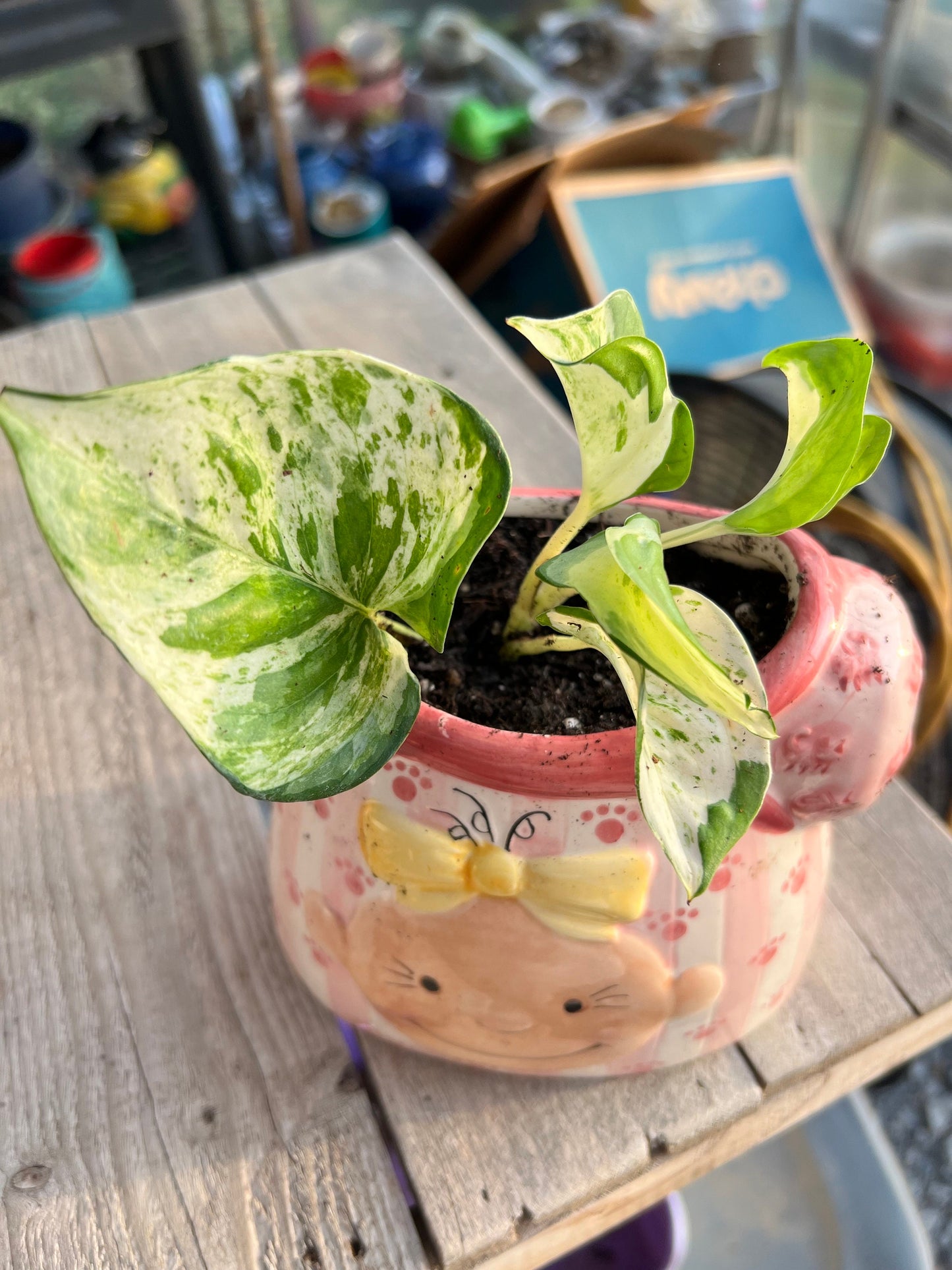 Gemma girl planter