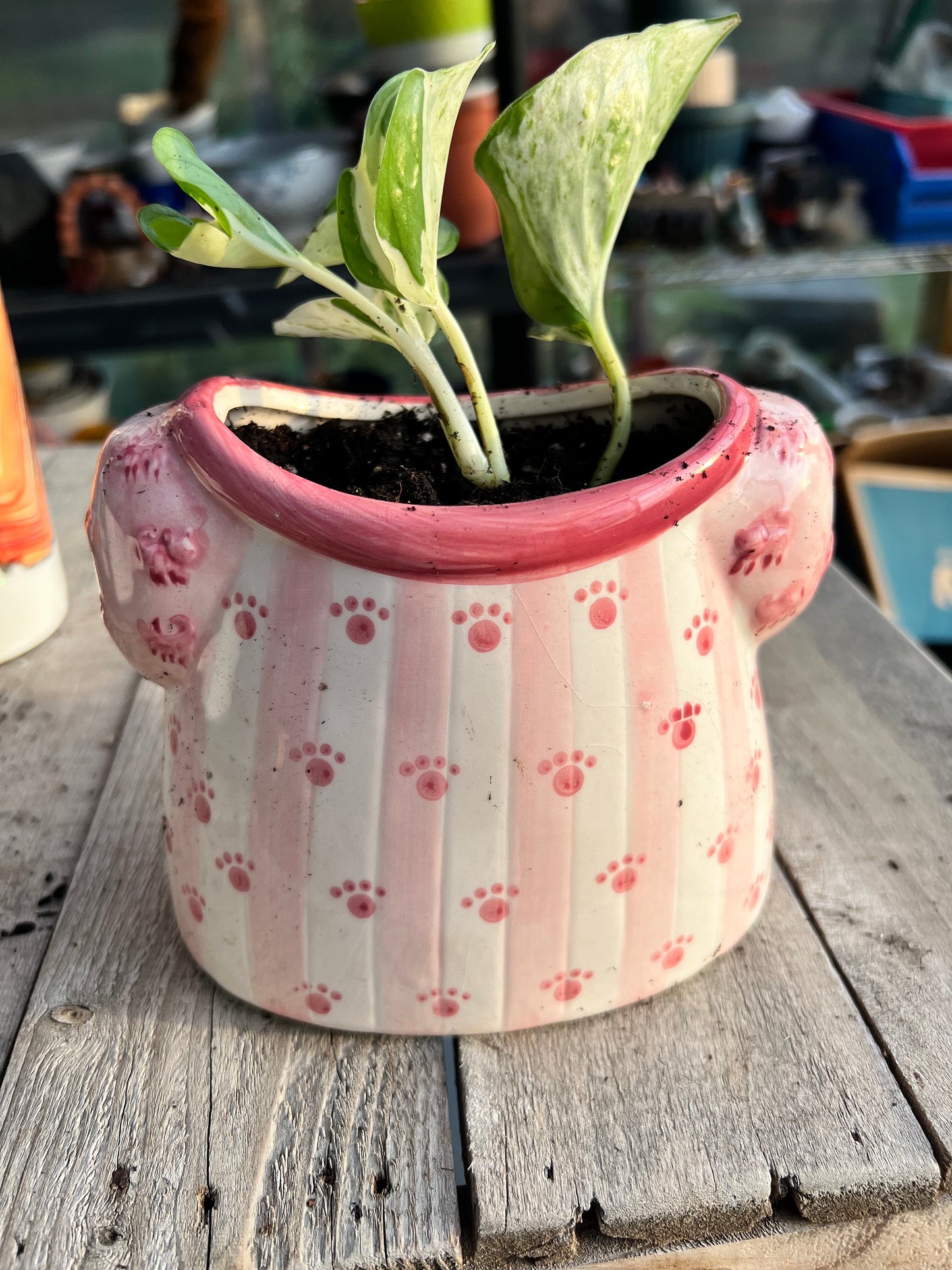 Gemma girl planter