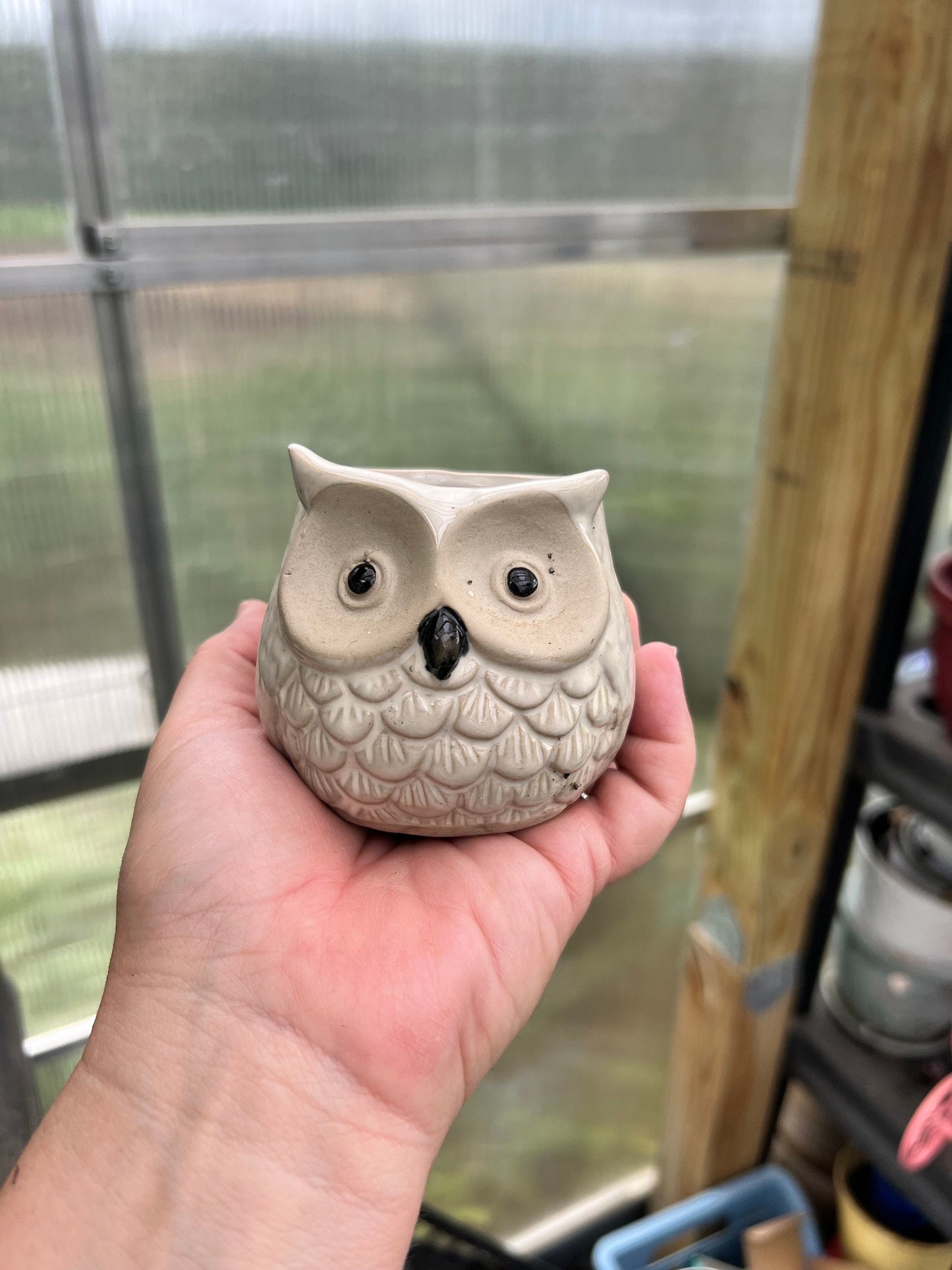 Cute owl planters
