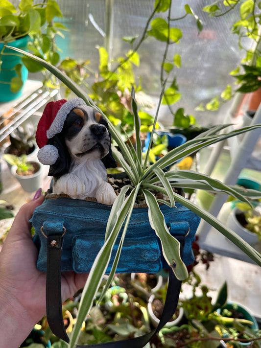 Christmas puppy planter