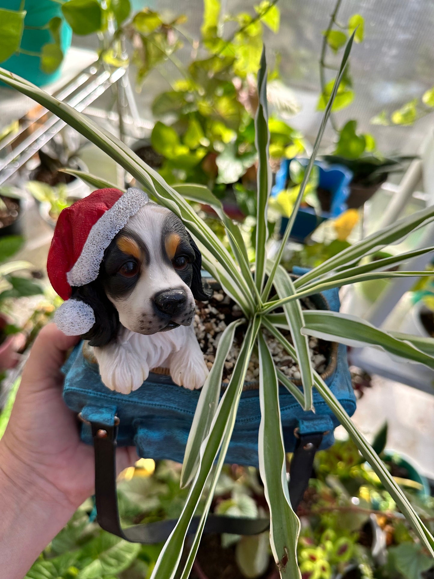 Christmas puppy planter
