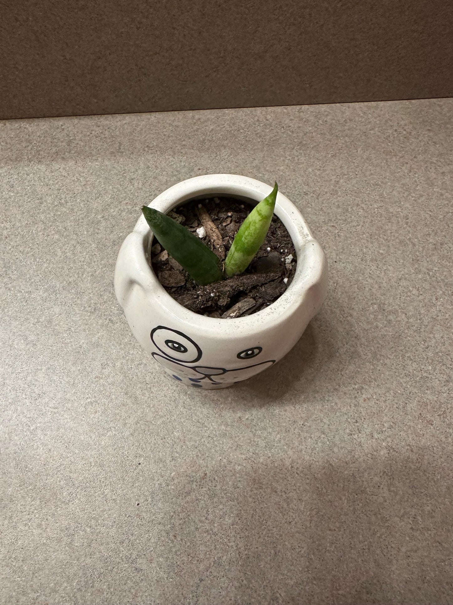 Darlin doggo planter with Bonzel plant