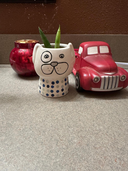 Darlin doggo planter with Bonzel plant